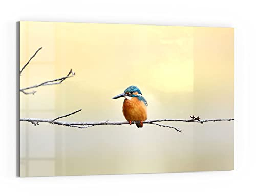 DEQORI Glas-Magnettafel | 60x40 cm groß | Motiv Königsfischer auf Zweig | Memo-Board aus Glas | Magnetboard inkl. Magnete, Stift & Tuch für Küche & Büro | Tafel magnetisch & beschreibbar