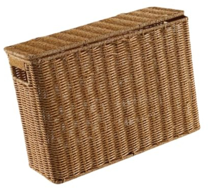 KESOTO Organizador de Revistas Y Periódicos, Contenedor Portátil con Tapa para Uso en Cocina Y Oficina, tal como se describe, L