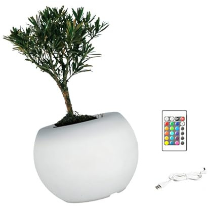 TOWARDSNAN Moderna maceta con iluminación LED para suculentas, base de color ajustable y elegante decoración del hogar y la oficina, maceta LED con modos de color