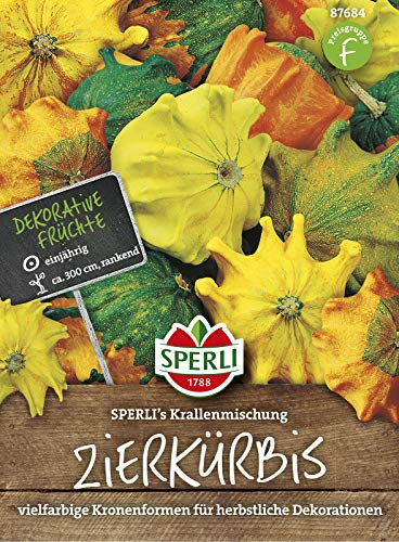 Zierkürbis SPERLI's Krallenmischung, vielfarbige Kronenformen für herbstliche Dekoration