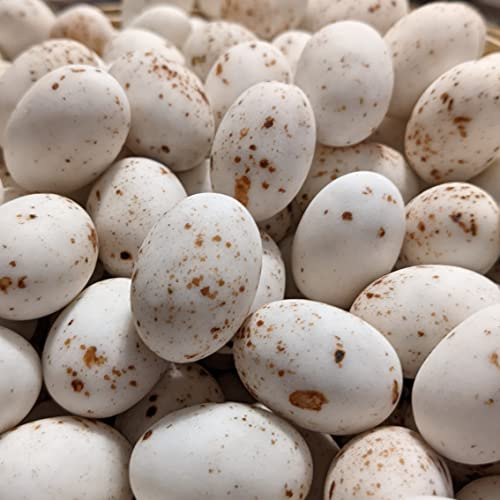 Ovetti di Pasqua confettati maculati - Ovetti di quaglia Cioccolato Fondente con ripieno di crema Nocciola - Confezione da 500g (circa 50 ovette)