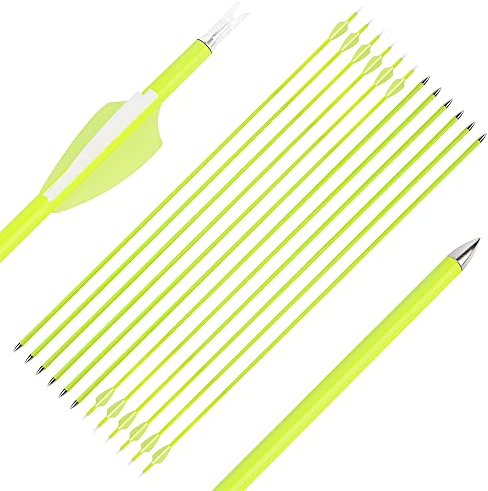 SHARROW 12 Stück Carbonpfeile 30 Zoll Carbon Pfeile für Bogen Bogenpfeile Spine 1500 Jagdpfeile für Recurve Bogen und Compoundbögen (Typ 2: Pfeile)