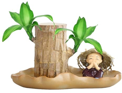 Brasil Wood - Planta de madera brasileña, planta hidropónica en maceta planta de tocón planta de escritorio de interior con estatuas de madera de bambú sprosaturado, decoración decorativa del hogar