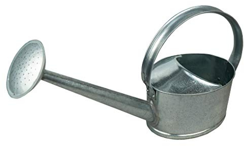 HRB Zinkgießkanne 5 L Silber, Gießkanne feuerverzinkt, langlebige Metallgießkanne für den Innen- und Außenbereich Giesskanne mit Gießbrause Bewässerungssystem