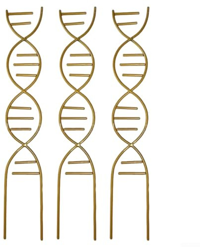 Treillis de jardin en métal pour plantes grimpantes, cadre d'escalade en spirale pour pot de fleurs d'intérieur pour favoriser une croissance saine des plantes grimpantes comme le lierre (doré)