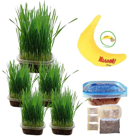 TheGuard Cat Grass Seeds 5-Pack (Grow at Home Kit) & 1 Banana Catnip Toy for Chewing, Interactive Playing, Hairball & Stress Relief - All-Natural