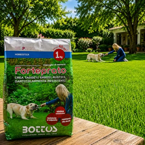 Semi per Prato verde, Tappeto erboso rustici particolarmente resistenti al calpestio e alla siccità. Veloce germinazione