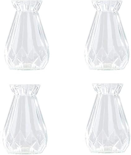 Macetas, macetas de interior, jarrón, maceta.1 jarrón de cristal de jacinto, cristal de jacinto, jarrones de flores transparentes, for decoración de plantas suculentas/sistemas de aire (14,5 x 8 cm, r