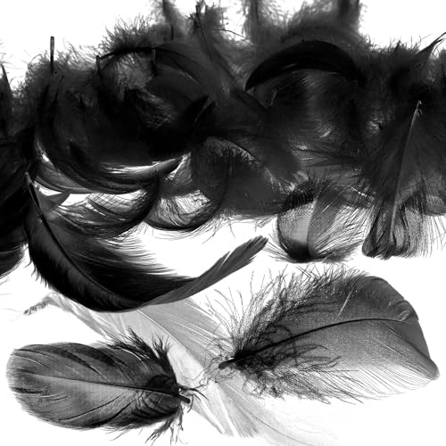 Mbsomnus Black Feathers, 600 Pcs Natural Craft Feathers 5-12 cm for DIY Crafts Dream Catcher Earrings Headdress Hats Feather Flowers Wedding Party Holiday Decoration