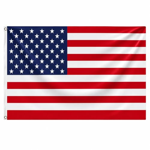 Noovaa Drapeaux Nationaux - Résistant Aux Intempéries, Œillets en Laiton, Polyester Haute Qualité, Coutures Doubles - Usage Extérieur (1, USA, 60x90cm)