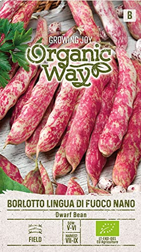 Organic Way | FAGIOLO NANO BORLOTTO LINGUA DI FOUCO NANO semi | Semi di ortaggi | 1 confezione