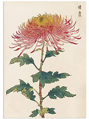 Japanische Kunst – Wanddekor Poster Ukiyo-e Chrysanthemen Blume Woodblock Druck (ungerahmt)