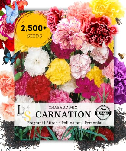 2500 Mixed Carnation Flower Seeds for Planting - AKA. Dianthus Caryophyllus Chabaud Mix Perennial