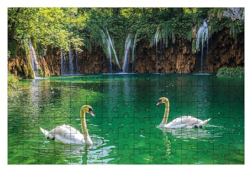 Puzzle 1000 Teile Schwan, See Puzzle 1000 Teile Erwachsene, Puzzel für Die Ganze Familie, Klassische Puzzles Geschicklichkeitsspiel, Holzpuzzle für Geschenke für Frauen, Männer, Deko Wohnzimmer -2137