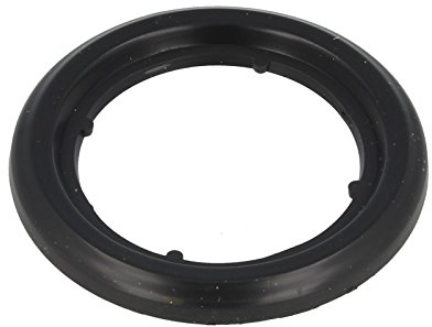 Hansa – 59905077 Dichtung
