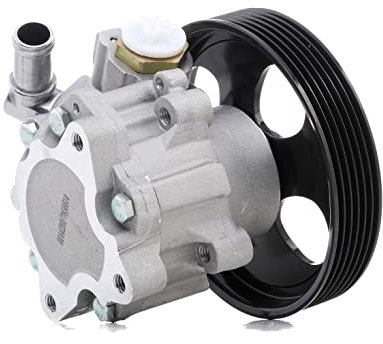 STARK Pompe de direction assistée Pompe De Direction Assistée SKHP-0540019