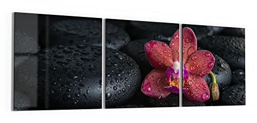 DEQORI Glasbilder Echtglas | Motiv Blüte und Steine benetzt | horizontal 3-teilig 150x50 cm | große XXL Deko | Wandbilder für Wohnzimmer, Schlafzimmer, Flur & Küche | moderne Wanddeko