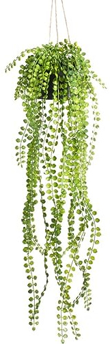 Botanic-Haus künstliche Ficus Pumila Pflanze Hängeampel im schwarzen Kunststofftopf