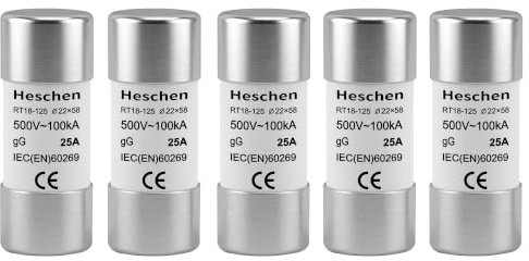 Heschen Eslabón fusible de tubo cerámico cilíndrico, RT18-125(RO17), 22 * 58mm, 25A 500VAC, Tipo gG, 5 Unidades
