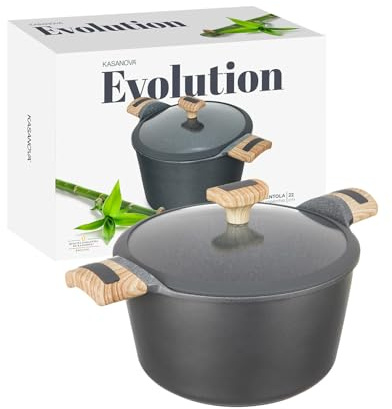 Pentola 22 cm con coperchio Evolution