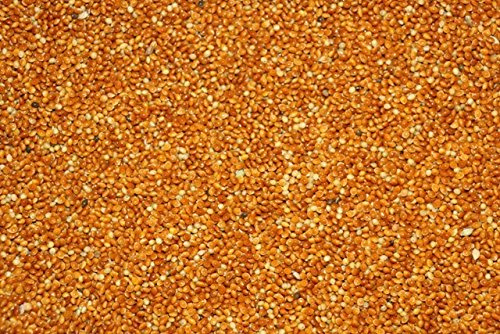 FutterXL Hirse rot 25kg