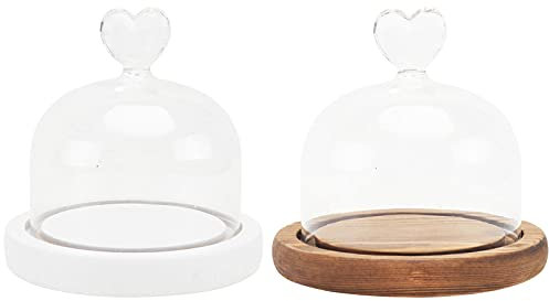 Yardwe - Espositore a Forma di Campana in Vetro Trasparente, con Base Decorativa a Campana, per Piante grasse, luci delle Fate, 2 Pezzi
