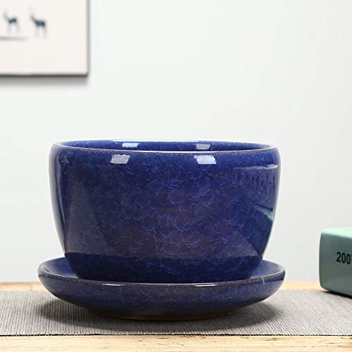 Ice-Crack Keramik-Blumentöpfe für saftige Pflanzen, kleine Bonsai-Topf, Gelee, fleischige Pflanzen, Keramiktopf, Haus- und Gartendekoration, Mini-Sukkulententöpfe (Color : Blue)