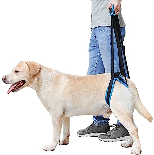 MIGHTYDUTY Tragehilfe Hund Hinterbeine rüde Weibchen Tragbar Einstellbar Bietet Unterstützung Hilft Hunden mit Schwachen Hinterbeinen, Fortgeschrittenem Alter, Verletzungen, Behinderungen M