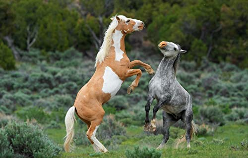 LHJOY Riesenpuzzle 3D Puzzle 1000 Teile Pferd Aufgezogen 75X50Cm