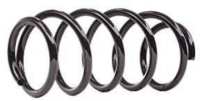 DACO Germany 2x Fahrwerksfedern Federn Vorne Schraubenfeder Länge: 303mm Außendurchmesser: 132mm 802713
