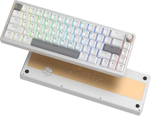 LQXQ SK65 V1 Teclado Mecánico Inalámbrico para Juegos, 60% Aluminio Teclado Bluetooth 5.0/2.4GHz/USB-C, Retroiluminación RGB Cableada Intercambiable en Caliente para Ordenador Mac PC, Plata