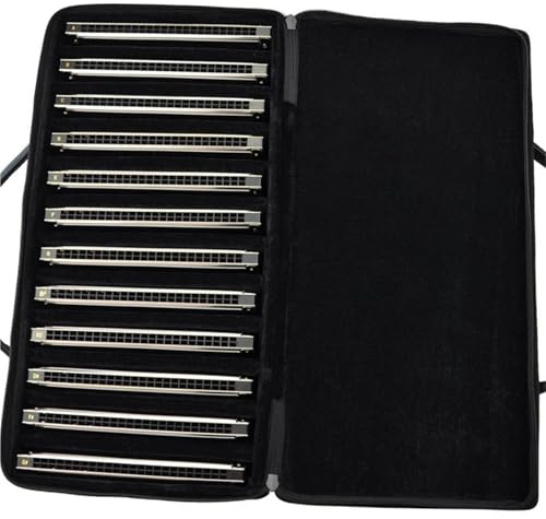 24 Löcher 12er-Set Mundharmonika Tremolo Mundharmonika-Set Mit Koffer