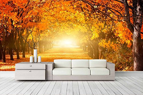 Oedim Fotomural Vinilo Pared Otoño | Varias Medidas 200x150cm | Ideal para la decoración de comedores, Salones | Motivos Paisajisticos | Urbes, Naturaleza, Arte | Multicolor | Diseño Elegante