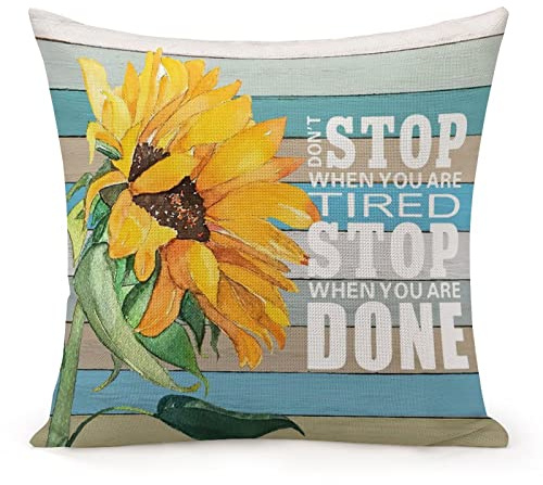 popeven Pillow Cover for Women Girl Farmhouse Pillow Cases 20x20 for Baby Boys Girls Kids Room,Stop When You are Tired Wood Grain Glass Bottle Floral Pillow Cases Anniversary Pillow Gifts