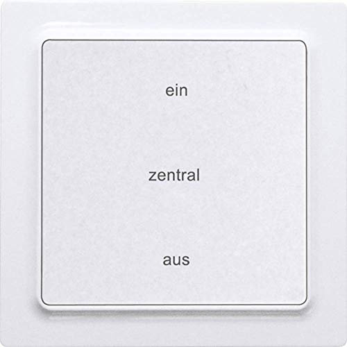 Eltako Funk-2-Kanal-Zentralsteuertaster reinweiß glänzend 55x55mm batterie- und leitungslos E-Design55 F2ZT55E-wg