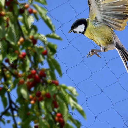 30m x15m Vogelschutznetz, Vogelnetz Schwarz, für Hühnergehege, Netz Vogelschutz für Schützt Obstbäume und Gemüse vor Vogelfraß