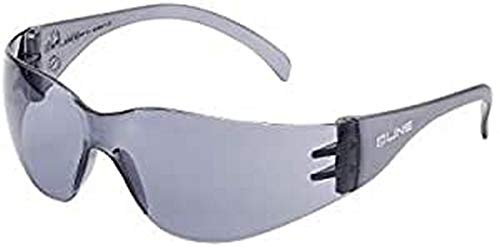 Bollé Safety PSSBL10-405, Schutzbrille, Rauchgläser, Einheitsgröße Serie BL10