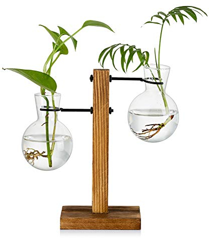 Propagation Station With Wooden Rack 2 Bulb Vintage Avocado Vase Glass Test Tube Vases for Flowers Acorn Plant for Home Table Desk Indoor Decor