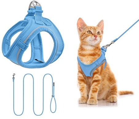 Katzengeschirr mit Leine 255cm XXXS Set, Reflektierend (Blau) | Brustgeschirr Für Katzen & Welpen, Atmungsaktives Mesh, Anti-Ausbruch, Weich, Für Spaziergang
