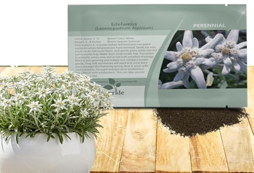 Outsidepride Edelweiss Seeds - 5000 Pcs. Perennial, Drought-Tolerant & Easy to Grow, Ground Cover Seeds for Planting Silvery Foliage & Clustered Wooly White Blooms for Xeriscaping & Versatile Uses