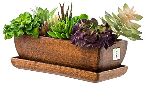 botle keramisk blomkruka blomskål kaktusskål underlägg vattenhål kaktusar bonsai suckulenter (rektangulär, mörkbrun)