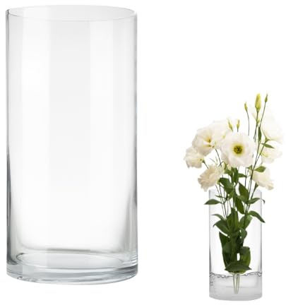 LOMUG Glasvase 20cm Hoch Durchsichtig Blumenvase Ø 10 cm Deko Zylindervase Kerzengläser Runde Modern Gross Zylinderglasvasen für Home Office Hochzeit Tischdeko (10X20CM)