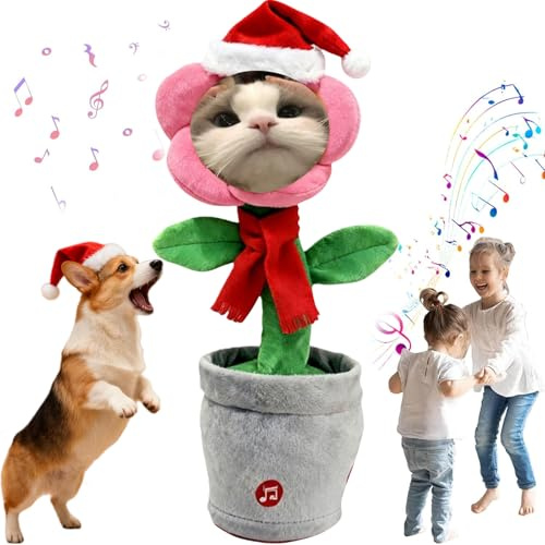 Generico Natale personalizzato foto Girasole，oscillazione cantando e parlando girasole giocattoloFiore Danzante con Viso，Ripete ciò che Dici，regali Natale di compleanno e feste (Pink-1)