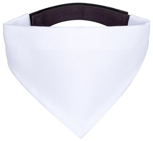 Mr. & Mrs. Panda Hundehalstuch L Waschbär - Geschenk, Bandana Für Hunde, Lustige Sprüche, Halstuch, Tagträumen, Hund, Fröhlich, Schal, Seifenblasen, Waschen, Plan