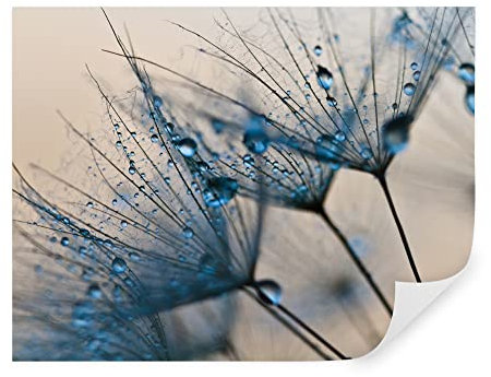 Tapeko Papier Peint Panoramique Fleurs 3D 260x180 cm style 3D Effet Fleurs Bleues Nature Papier Peint intissé pour Chambre Salon Décoration Murale u57557