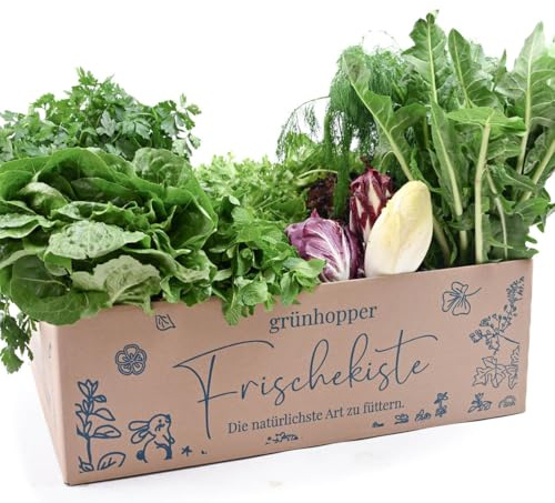 Frischekiste Salat&Kräuter 3 kg grünhopper Kaninchenkiste