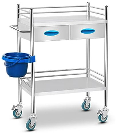 Medizinischer Laborwagen aus Edelstahl, 2/3 Ebenen, mit zwei Schubladen, Servierwagen für Labor, Spa, Schönheitssalon, Klinik, Küchengeräte
