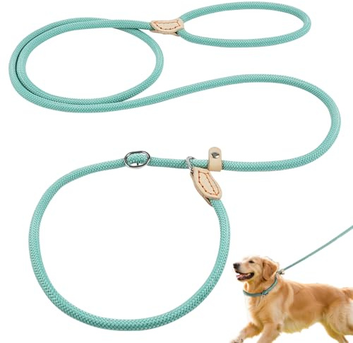 OSDUE Slip Lead for Small Medium Dogs,1.8m Dog Training Leash Rope,Cyan | No Collar or Harness Needed, Durable Strong, Adjustable Pet Lead Leash for Training, Walking, Daily Use
