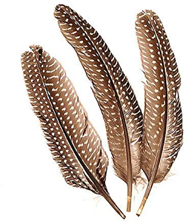 Knorr Prandell KnorrPrandell 6617980 Perlhuhnfedern, 15-20 cm, dunkel/weiß, S