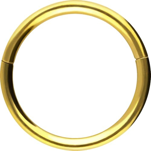 PIERCINGLINE Segmentring Clicker aus Chirurgenstahl - Piercing Ring in Gold, Silber, Rose, Schwarz oder Blau - für Nase, Septum, Ohr, Helix oder Tragus